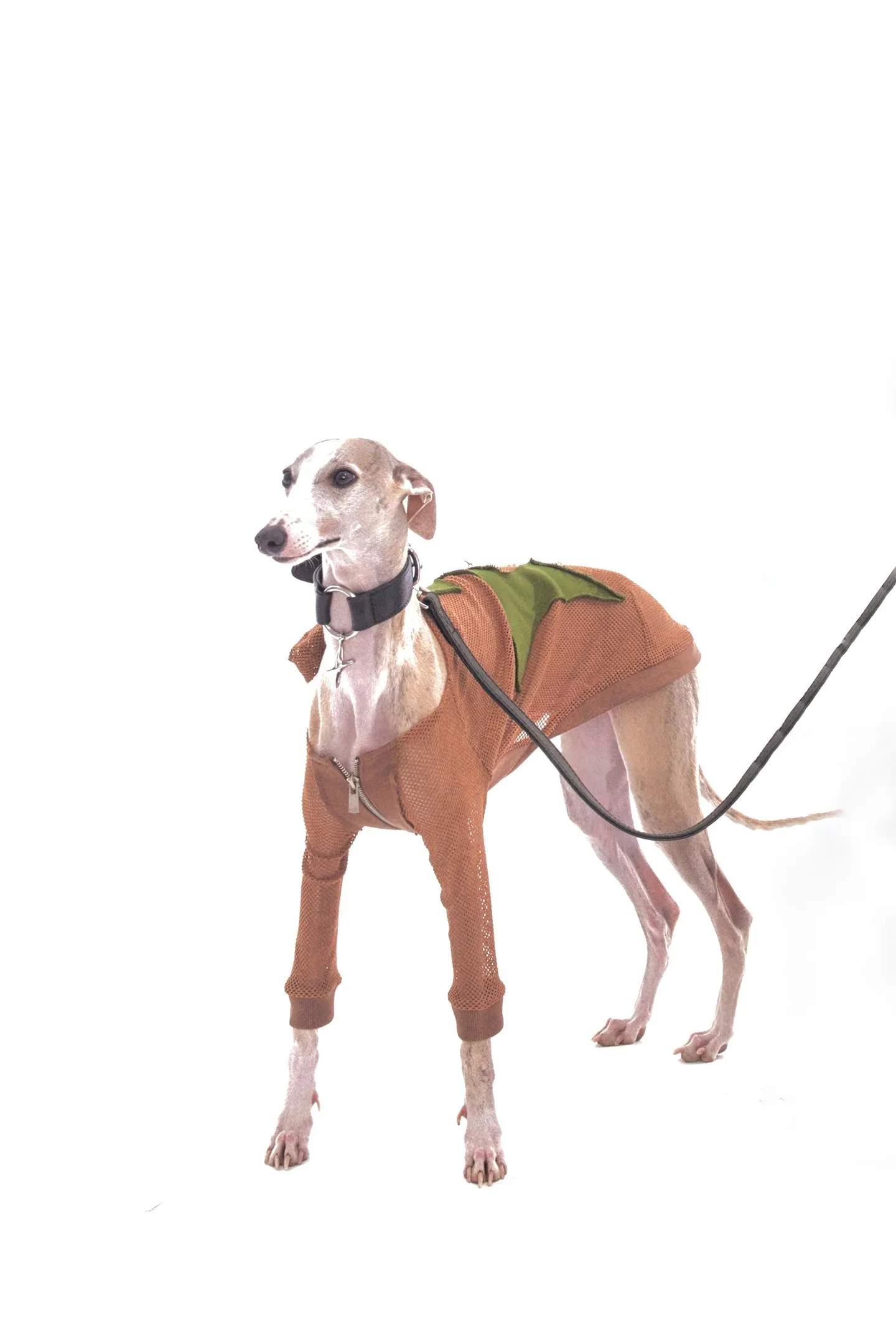Brown Grid Patch Dog Jacket