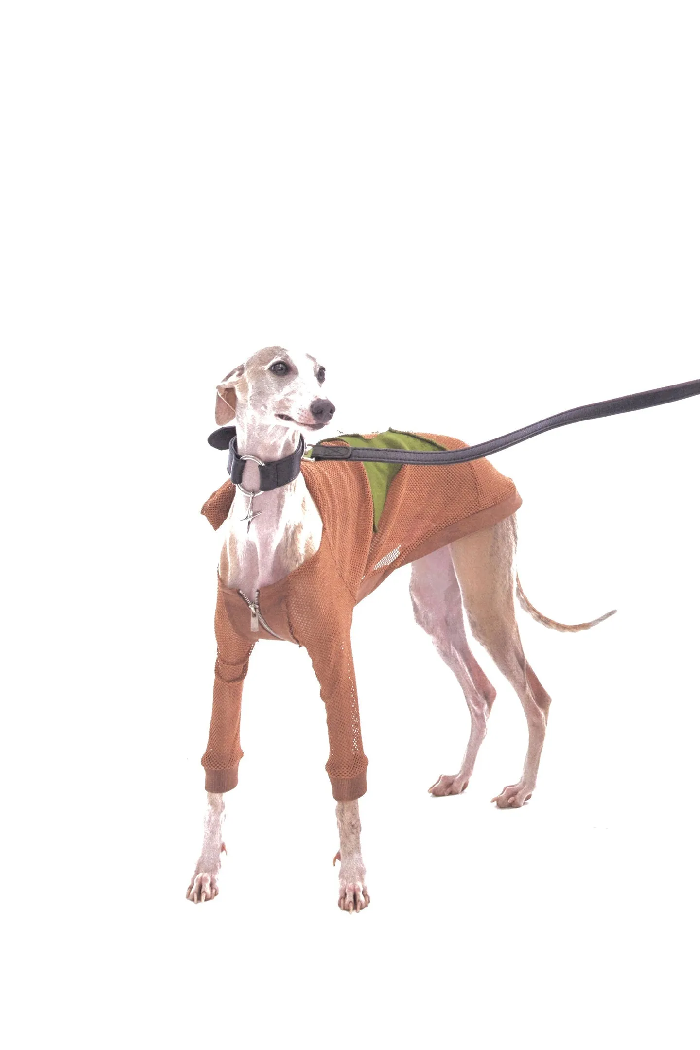 Brown Grid Patch Dog Jacket