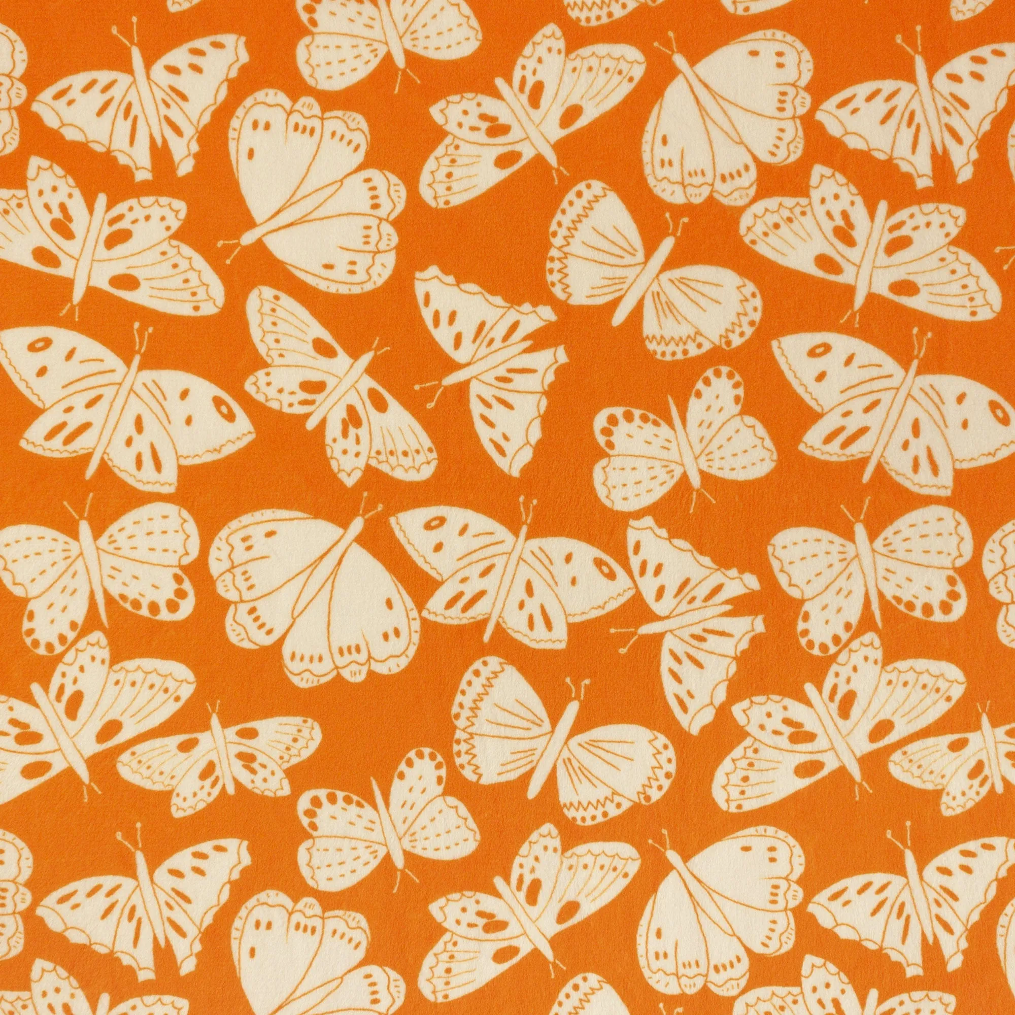Butterfly Days | Butterfly Days