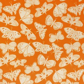 Butterfly Days | Butterfly Days