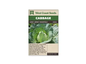 Cabbage - Early Jersey Wakefield (Seeds)