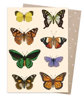Earth Greetings Card - Native Flutter